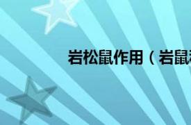 岩松鼠作用（岩鼠科相关内容简介介绍）