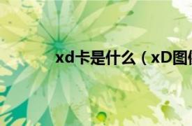 xd卡是什么（xD图像卡相关内容简介介绍）