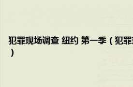 犯罪现场调查 纽约 第一季（犯罪现场调查：纽约第八季相关内容简介介绍）