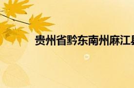 贵州省黔东南州麻江县应急管理局局长吴宗民