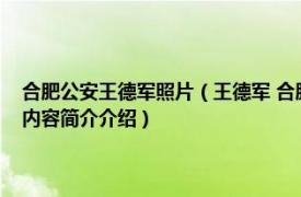 合肥公安王德军照片（王德军 合肥市公安局治安警察支队原副支队长相关内容简介介绍）