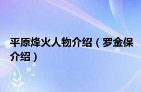 平原烽火人物介绍（罗金保 《平原烽火》中的角色相关内容简介介绍）