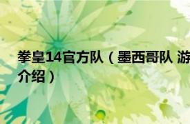 拳皇14官方队（墨西哥队 游戏《拳皇14》的战队相关内容简介介绍）