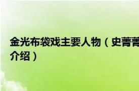 金光布袋戏主要人物（史菁菁 金光布袋戏虚拟人物相关内容简介介绍）