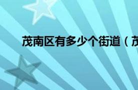 茂南区有多少个街道（茂山街道相关内容简介介绍）