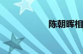 陈朝晖相关内容简介