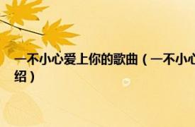 一不小心爱上你的歌曲（一不小心爱上你 沐可儿演唱歌曲相关内容简介介绍）