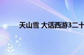 天山雪 大话西游3二十四主角相关内容简介介绍