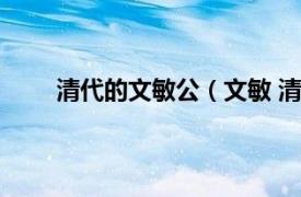 清代的文敏公（文敏 清朝人物相关内容简介介绍）