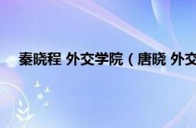 秦晓程 外交学院（唐晓 外交学院副教授相关内容简介介绍）