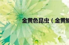 金黄色昆虫（金黄鳞虫相关内容简介介绍）