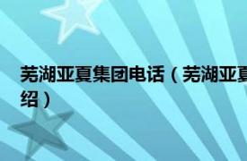 芜湖亚夏集团电话（芜湖亚夏汽车股份有限公司相关内容简介介绍）