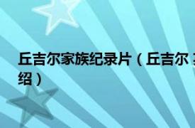 丘吉尔家族纪录片（丘吉尔 英国2017年传记片相关内容简介介绍）