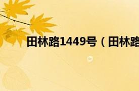 田林路1449号（田林路111号相关内容简介介绍）