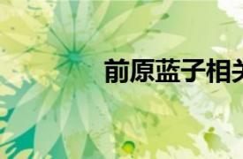 前原蓝子相关内容简介介绍