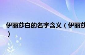 伊丽莎白的名字含义（伊丽莎白 西方常见姓名相关内容简介介绍）