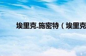 埃里克.施密特（埃里克施密特相关内容简介介绍）