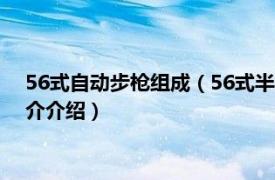 56式自动步枪组成（56式半自动步枪 军事武器枪械相关内容简介介绍）