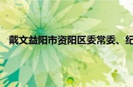 戴文益阳市资阳区委常委、纪委书记、监委主任相关内容简介