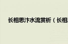 长相思汴水流赏析（长相思汴水流相关内容简介介绍）