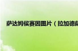 萨达姆侯赛因图片（拉加德萨达姆侯赛因相关内容简介介绍）