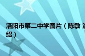 洛阳市第二中学图片（陈敏 洛阳市第二中学教师相关内容简介介绍）