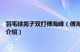 羽毛球男子双打傅海峰（傅海峰 中国羽毛球运动员相关内容简介介绍）