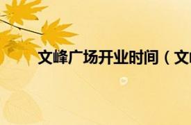 文峰广场开业时间（文峰广场相关内容简介介绍）