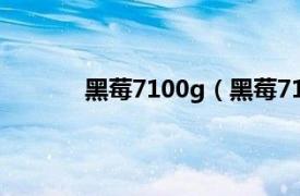 黑莓7100g（黑莓7100t相关内容简介介绍）