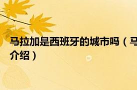 马拉加是西班牙的城市吗（马拉加 西班牙南部城市相关内容简介介绍）