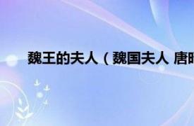 魏王的夫人（魏国夫人 唐昭宗的妃子相关内容简介介绍）