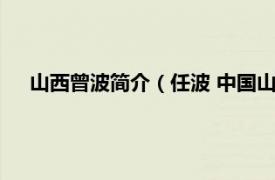 山西曾波简介（任波 中国山西籍艺术家相关内容简介介绍）