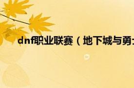 dnf职业联赛（地下城与勇士职业联赛相关内容简介介绍）