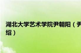 湖北大学艺术学院尹朝阳（尹朝阳 湖北大学教授相关内容简介介绍）