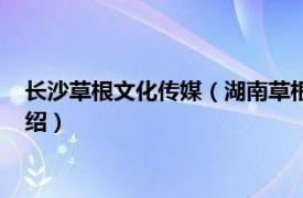 长沙草根文化传媒（湖南草根文化传媒有限公司相关内容简介介绍）