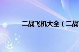 二战飞机大全（二战飞机相关内容简介介绍）