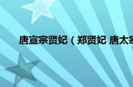 唐宣宗贤妃（郑贤妃 唐太宗妃嫔之一相关内容简介介绍）