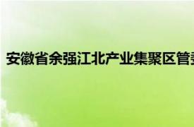 安徽省余强江北产业集聚区管委会产业发展部部长相关内容简介