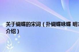 关于蝴蝶的宋词（扑蝴蝶咏蝶 明末清初董以宁创作的一首词相关内容简介介绍）