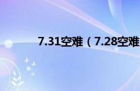 7.31空难（7.28空难魔咒相关内容简介介绍）