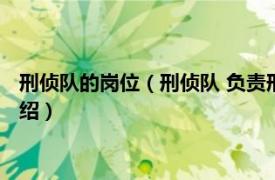 刑侦队的岗位（刑侦队 负责刑事侦缉的专门队伍相关内容简介介绍）