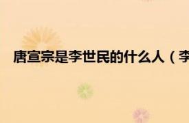 唐宣宗是李世民的什么人（李宣 唐朝宗室相关内容简介介绍）