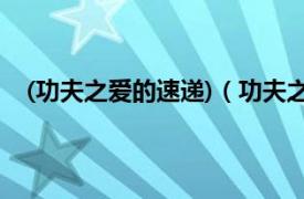 (功夫之爱的速递)（功夫之爱的速递相关内容简介介绍）