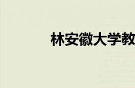 林安徽大学教师相关内容简介