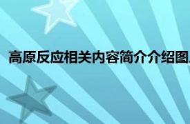 高原反应相关内容简介介绍图片（高原反应相关内容简介介绍）