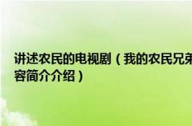 讲述农民的电视剧（我的农民兄弟 中国大陆反映农村题材的电视剧相关内容简介介绍）