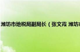 潍坊市地税局副局长（张文霞 潍坊市国家税务局副局长相关内容简介介绍）