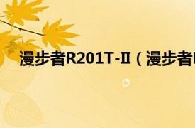 漫步者R201T-II（漫步者R201T08相关内容简介介绍）