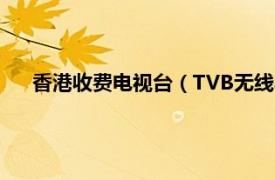 香港收费电视台（TVB无线收费电视台相关内容简介介绍）