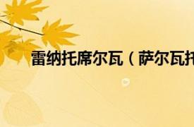 雷纳托席尔瓦（萨尔瓦托雷兰纳相关内容简介介绍）